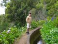 Madeira0886.JPG